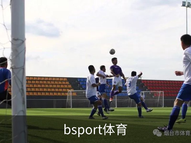 走进bsport体育